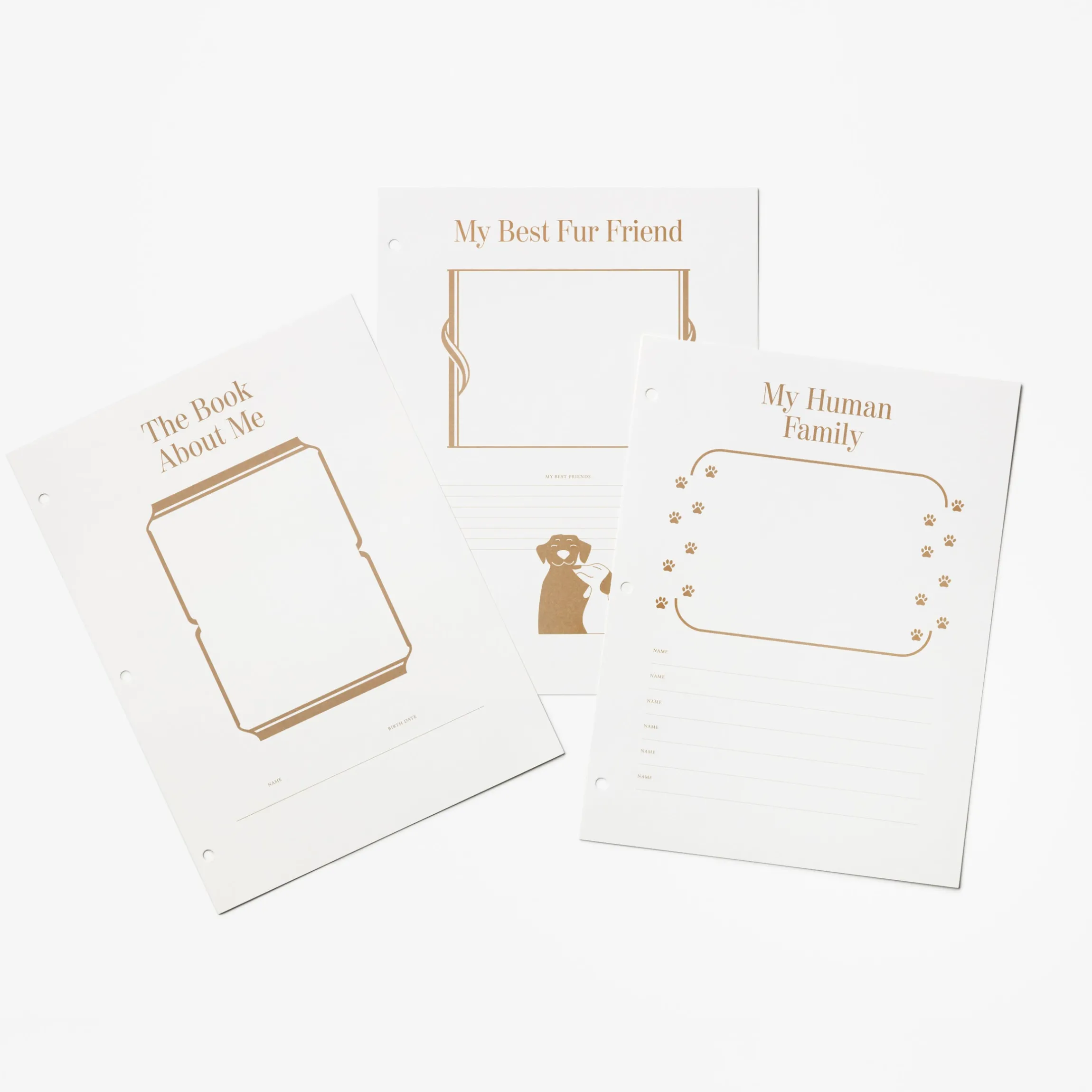 A Dog's Life Photo Album Paper, 10 Pages