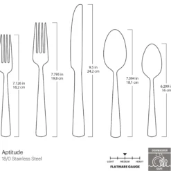 Aptitude Midnight Glossy 20-Piece Flatware Set