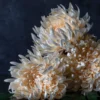Artificial Cream Chrysanthemum Stem