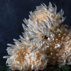 Artificial Cream Chrysanthemum Stem