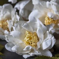 Artificial Cream Rose Spray
