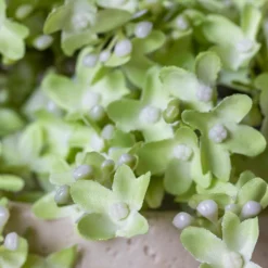 Artificial Pistachio Lilac Stem