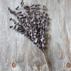 Artificial Plum Eucalyptus Stem