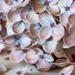 Artificial Real Touch Antique Blush Hydrangea Stem