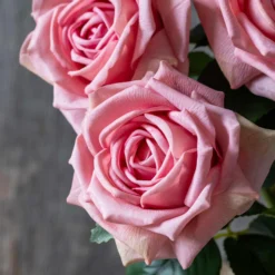 Artificial Real Touch Peach Rose Stem
