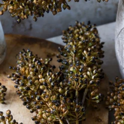 Artificial Sorghum Stem, Umber