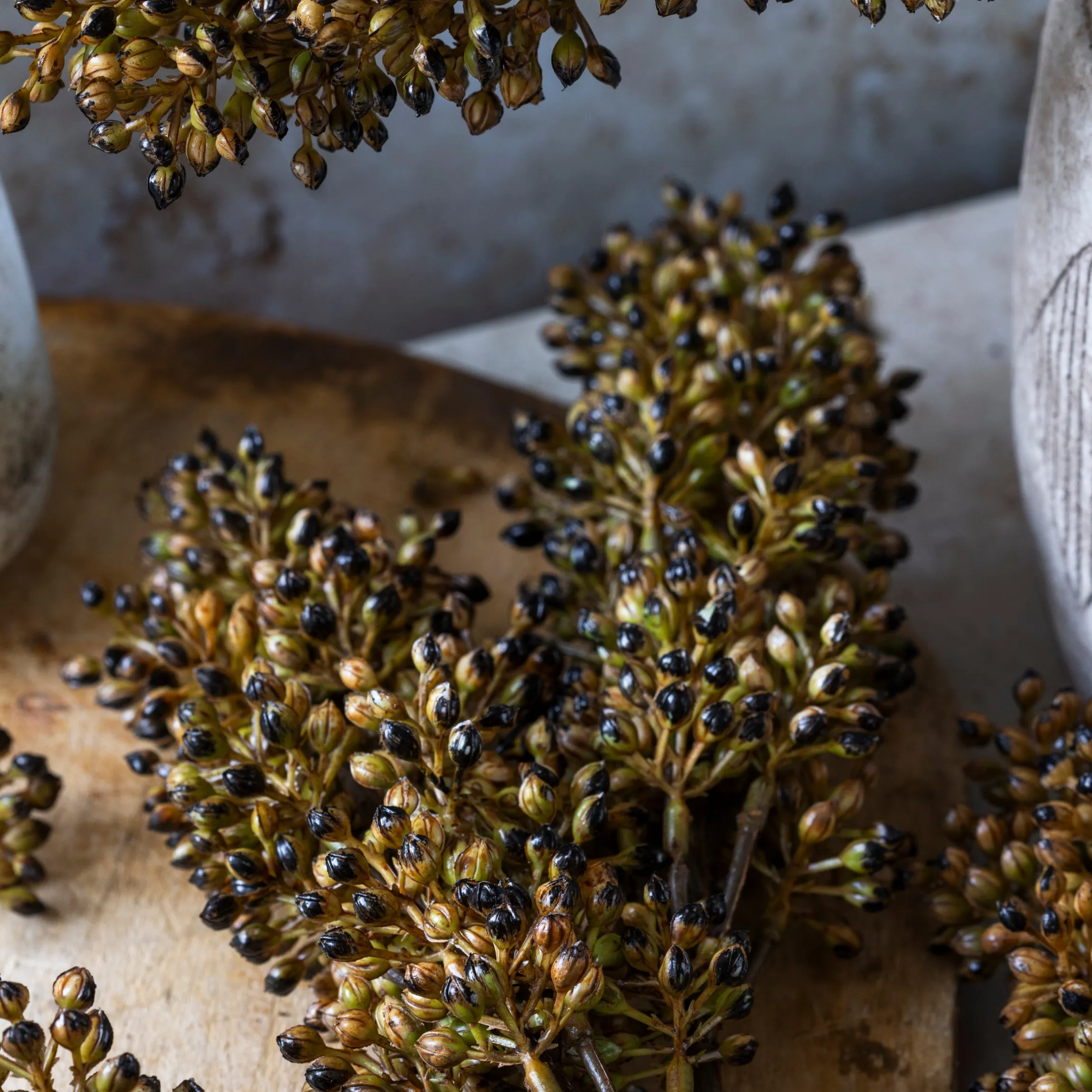 Artificial Sorghum Stem, Umber