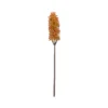 Artificial Sunset Sorghum Stem