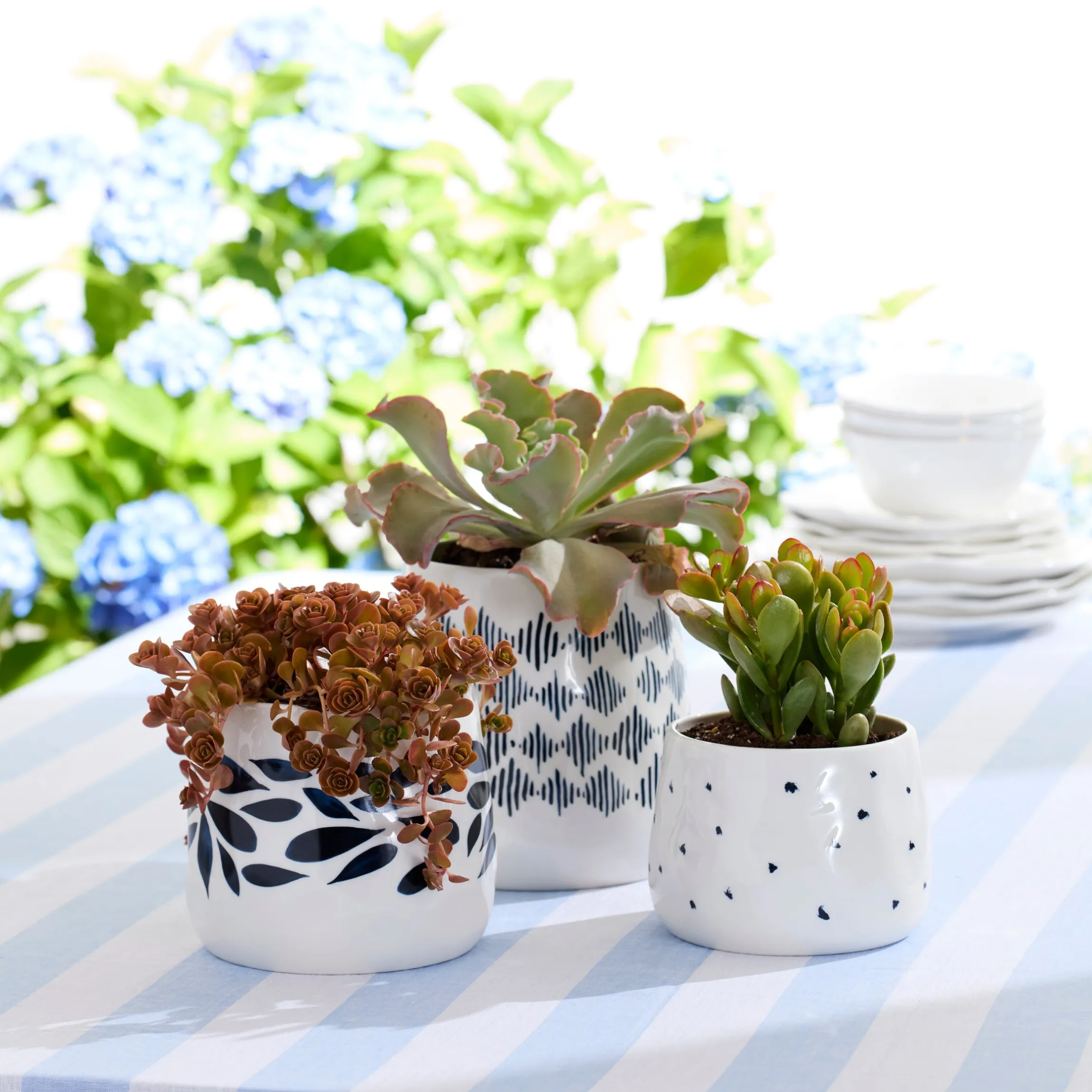 Blue Bay 3-Piece Canister Set