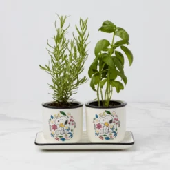 Chef Snoopy Herb Pots - Set Of 2
