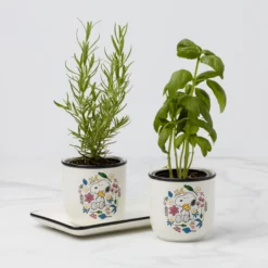 Chef Snoopy Herb Pots - Set Of 2