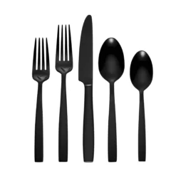Clearview Black Satin 20-Piece Flatware Set