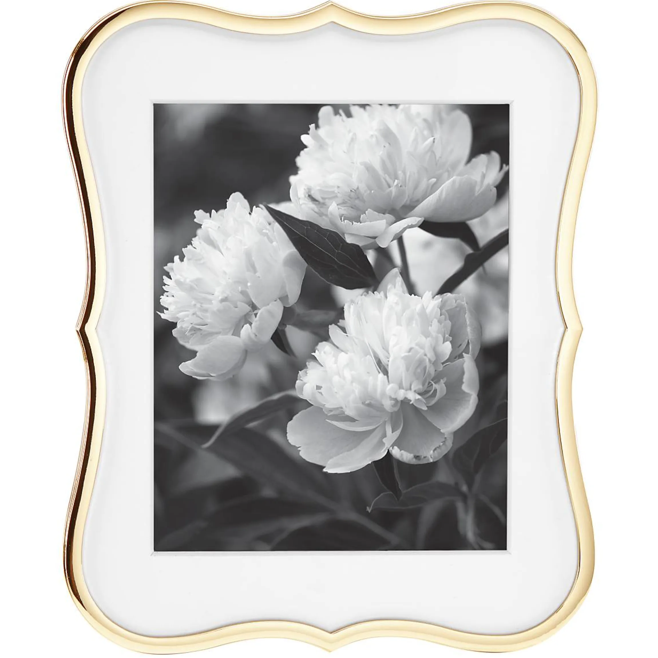 Crown Point Gold 8x10 Photo Frame