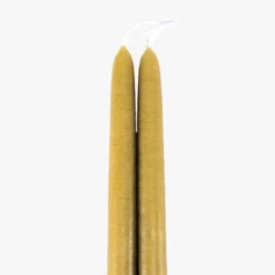 Dripless Chartreuse 12" Taper Candles, Set of 2