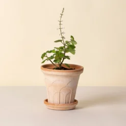 Fleur Raw Rosa 14cm Pot with Saucer