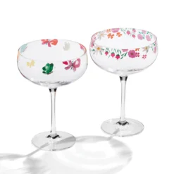 Floral Brights Coupe Glasses, Set of 2