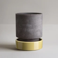 Hoff Raw Grey & Glazed Pale Yellow 14cm Pot with Saucer