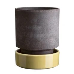 Hoff Raw Grey & Glazed Pale Yellow 14cm Pot with Saucer