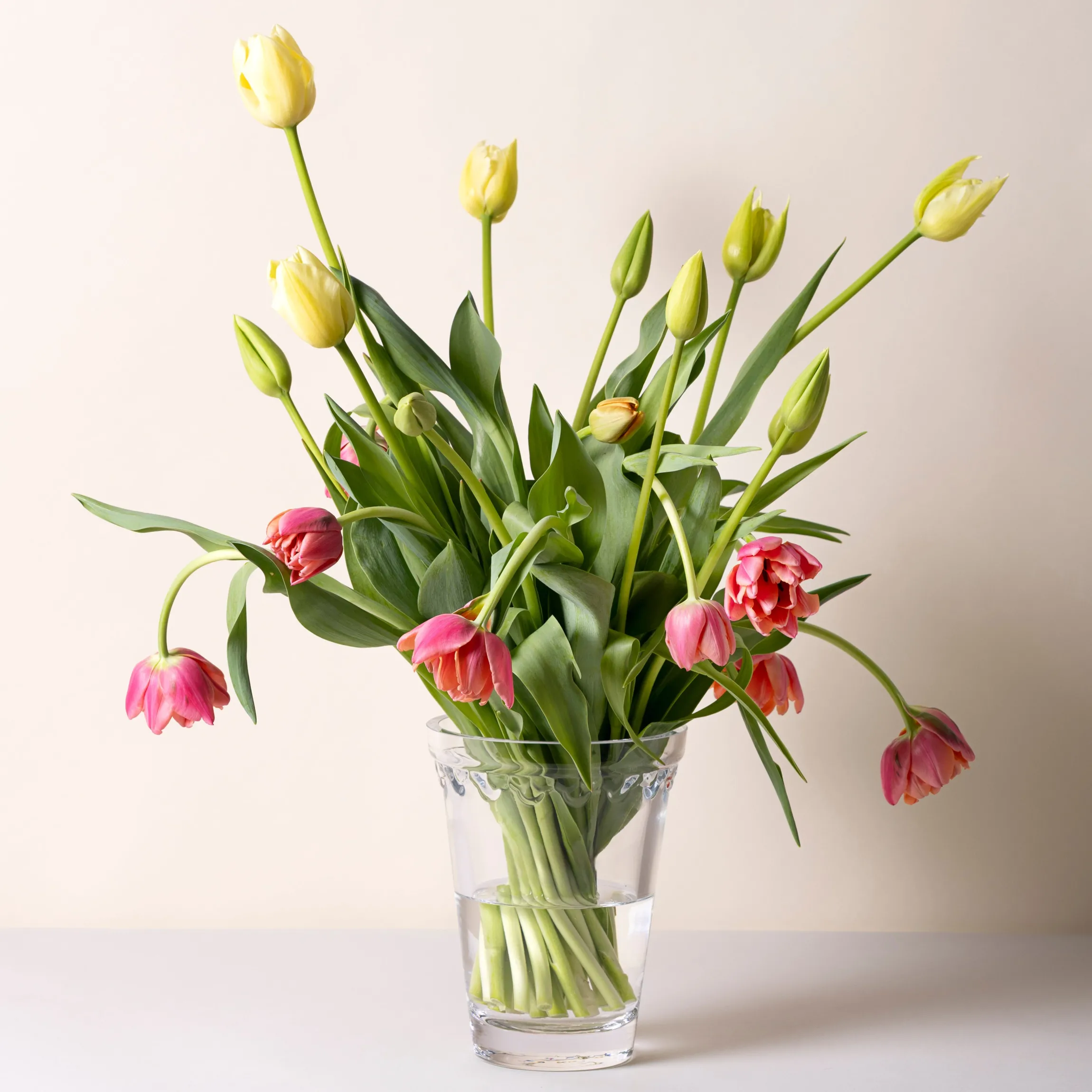 Kobenhavner Glass Clear Vase