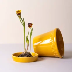 Kobenhavner Glazed Amber Yellow 16cm Pot with Saucer