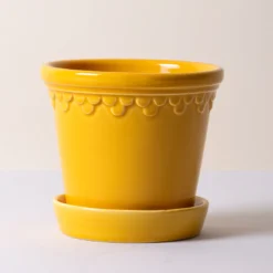 Kobenhavner Glazed Amber Yellow 16cm Pot with Saucer