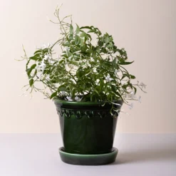 Kobenhavner Glazed Emerald Green 16cm Pot with Saucer