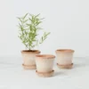 Kobenhavner Rosa Pot Set, Set of 3
