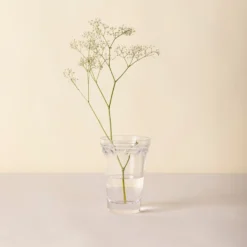 Kobenhavner Small Clear Glass Vase