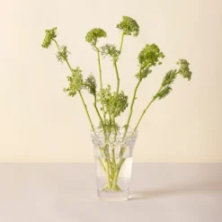 Kobenhavner Small Clear Glass Vase