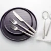 Modulus Nightshade 16-Piece Dinnerware Set