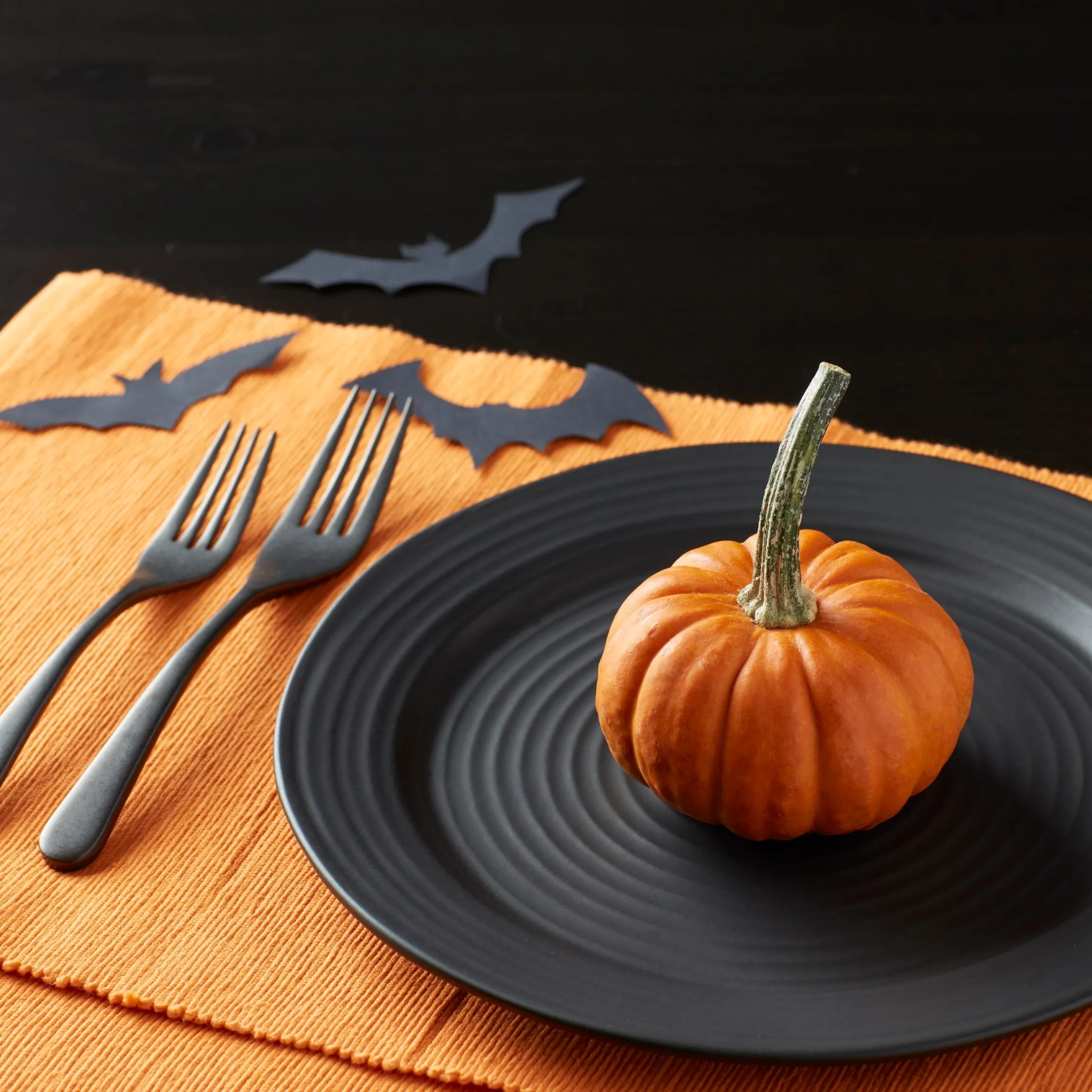 Ridge Black 12-Piece Dinnerware Set
