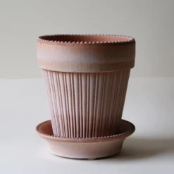 Simona Raw Rosa 16cm Pot with Saucer
