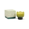 Tulip Verbena & Lemongrass 5.5oz Candle